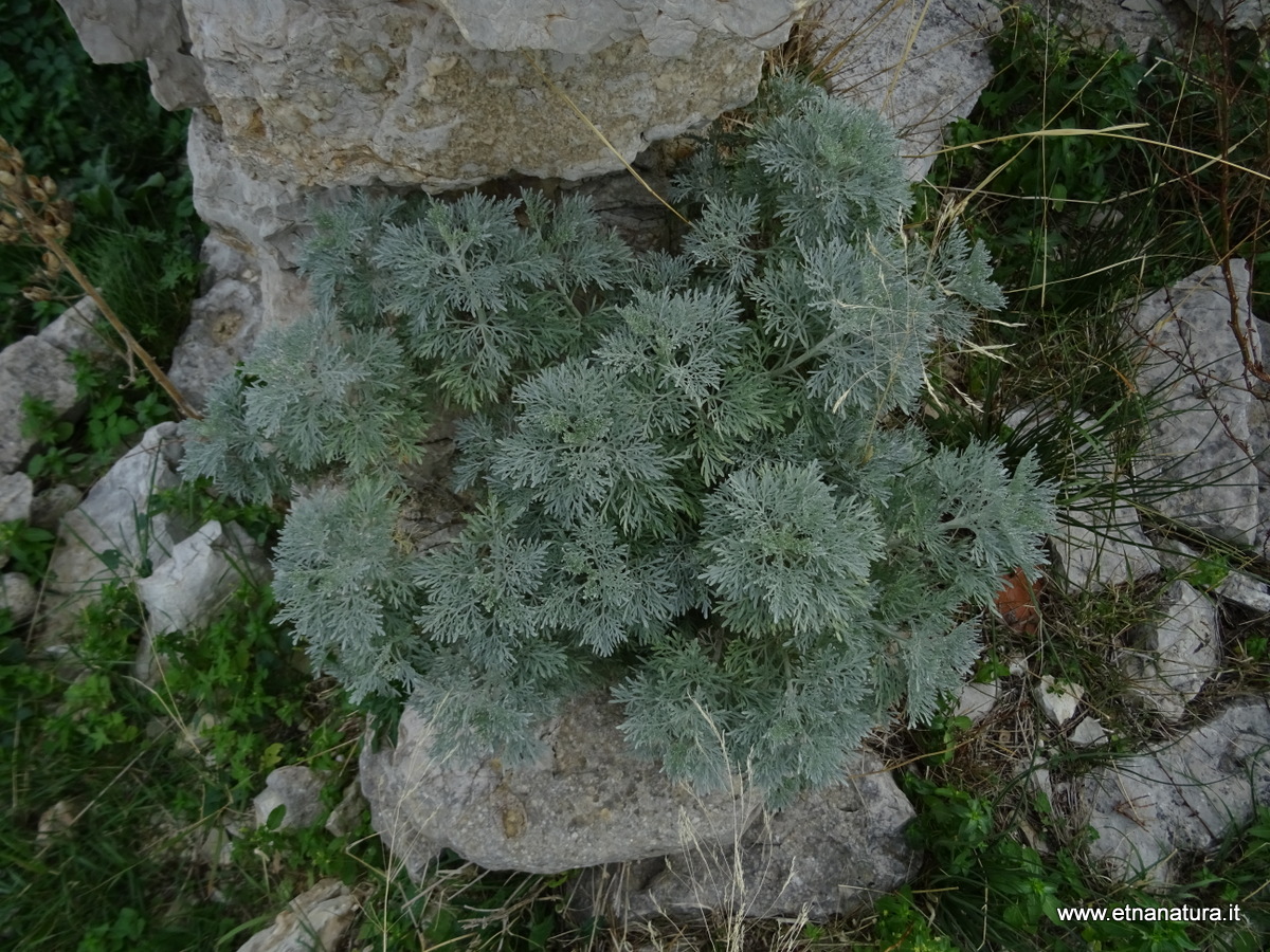 Eremo monte Turcisi